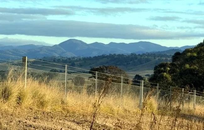 Bega Valley View